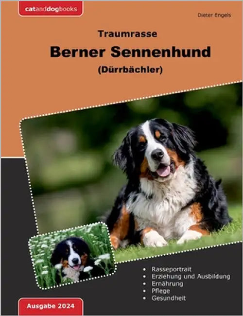 Traumrasse Berner Sennenhund: (Dürrbächler) by Engels, Dieter
