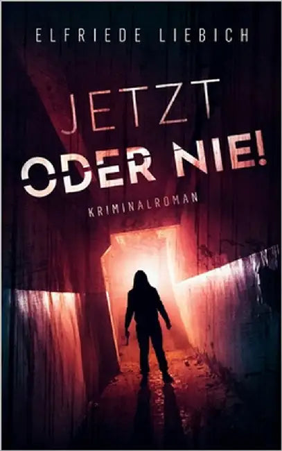 Jetzt oder nie!: Kriminalroman by Liebich, Elfriede