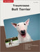 Traumrasse Bull Terrier by Schiffer, Cetin