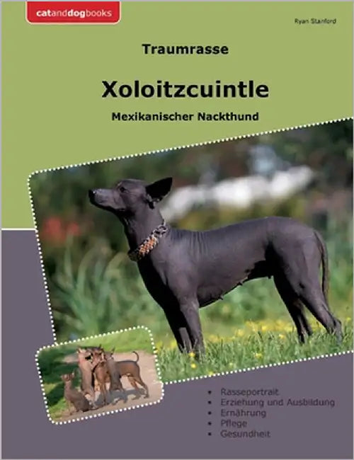 Traumrasse Xoloitzcuintle: Mexikanischer Nackthund by Stanford, Ryan
