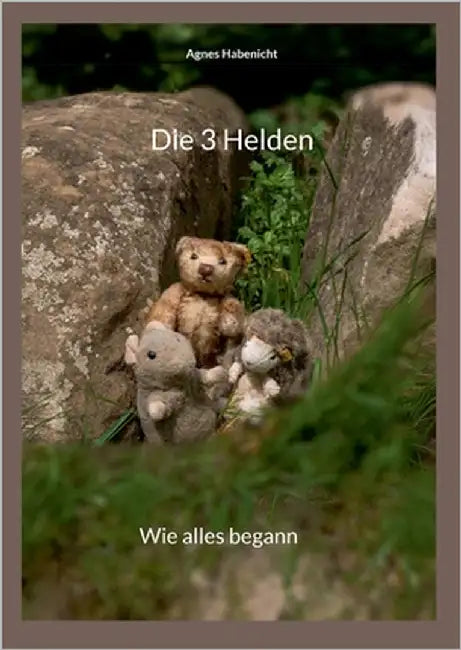 Die 3 Helden: Wie alles begann by Habenicht, Agnes