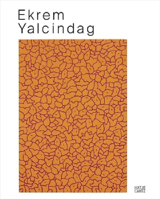 Ekrem Yalcindag: About Color, Nature, Ornaments, and Other Things by Ekrem Yalcindag, Beate Kemfert, Burcu Dogramaci