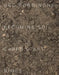 Ugo Rondinone: Becoming Soil by Ugo Rondinone, Jean-Marc Prevost, Corinne Rondeau