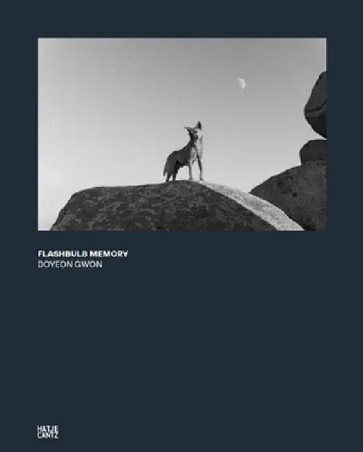 Doyeon Gwon: Flashbulb Memory by Doyeon Gwon