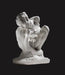 Rodin / Arp by Auguste Rodin, Raphaël Bouvier, Catherine Chevillot