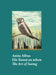 Anita Albus: The Art of Seeing by Anita Albus, Anette Husch, Regina Göckede