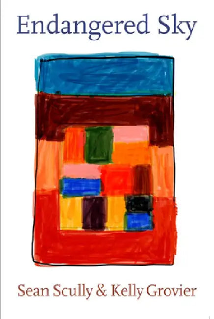 Sean Scully and Kelly Grovier: Endangered Sky by Sean Scully