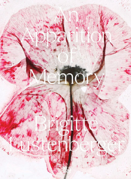 Brigitte Lustenberger: An Apparition of Memory by Brigitte Lustenberger