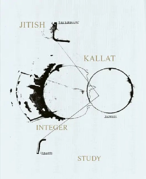 Jitish Kallat: Integer Study by Jitish Kallat, Claire Gilman, Siddhartha Mukherjee