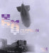 Zeppelin: Image and Power by Clara Bolin, Christine Buecher, Dominik Busch