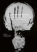 Biomedical Visions: Epistemology, Medicine and Art Practice by Elizabeth Hughes