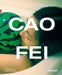 Cao Fei by Susanne Gaensheimer
