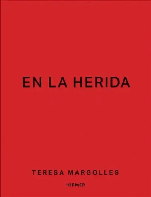 Teresa Margolles: En La Herida by Florian Steininger