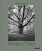 Olmsted Trees: Stanley Greenberg by Tom Avermaete