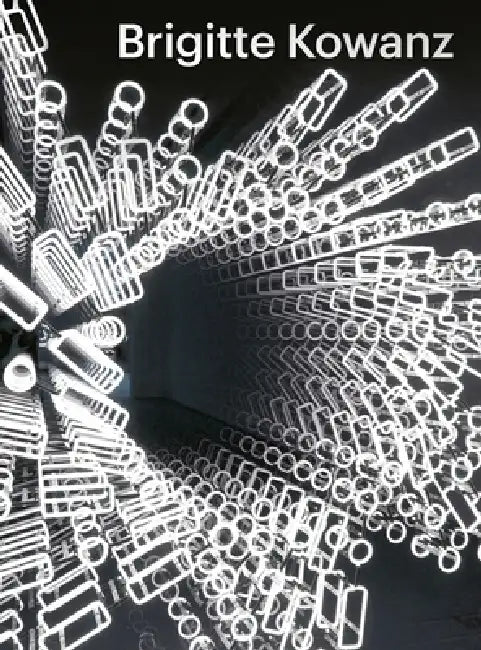 Brigitte Kowanz: Light Is What We See by Ralph Gleis, Angela Stief