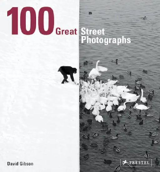 100 Great Street Photographs by David Gibson