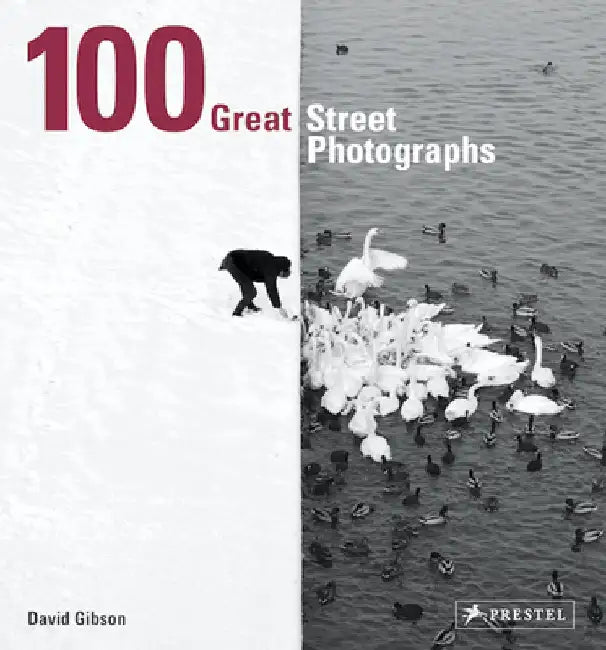 100 Great Street Photographs by David Gibson