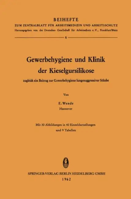 Gewerbehygiene Und Klinik Der Kieselgursilikose: Zugleich Ein Beitrag Zur Gewerbehygiene Lungenaggressiver Stäube by Erich Wende