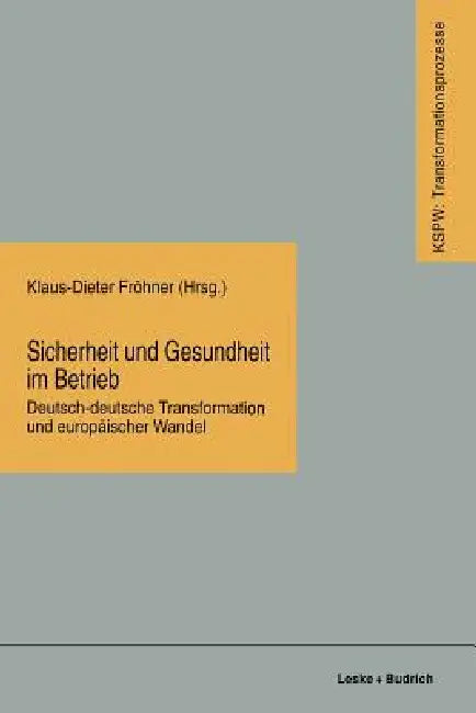 Sicherheit Und Gesundheit Im Betrieb: Deutsch-Deutsche Transformation Und Europäischer Wandel by Klaus-Dieter Fröhner