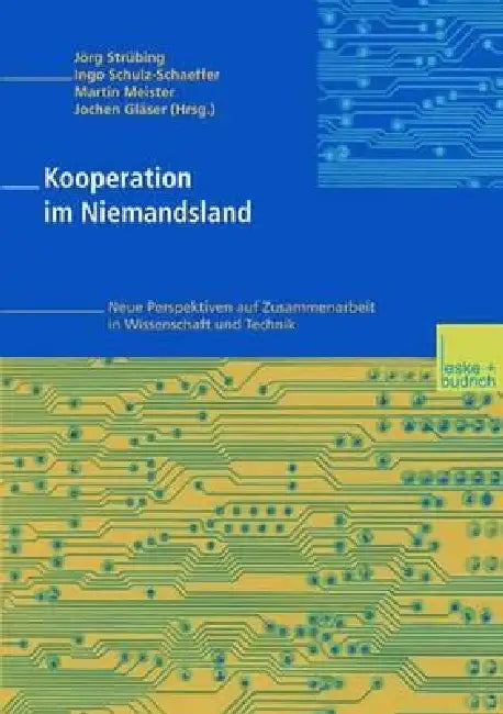 Kooperation Im Niemandsland by Jörg Strübing, Ingo Schulz-Schaeffer, Martin Meister