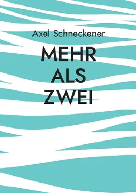 Mehr als zwei: Rechtliche und wirtschaftliche Wege in polygynen Lebensgemeinschaften by Axel Schneckener