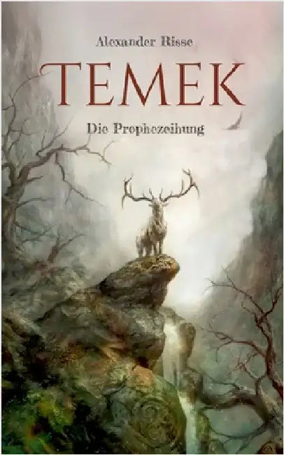 Temek: Die Prophezeiung by Risse, Alexander