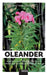 Oleander - König des Südens: Pflege, Geheimnisse und Geschichte einer außergewöhnlichen Pflanze by Matthias Greuling