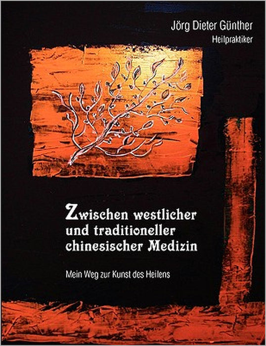 Zwischen westlicher und traditioneller chinesischer Medizin: Mein Weg zur Kunst des Heilens by Jörg Dieter Günther