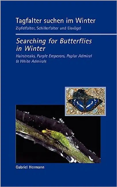 Tagfalter suchen im Winter / Searching for Butterflies in Winter: Zipfelfalter, Schillerfalter und Eisvögel / Hairstreaks, Purple Emperors, Poplar Adm by Hermann, Gabriel