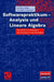Softwarepraktikum - Analysis Und Lineare Algebra: Ein Maple-Arbeitsbuch Mit Vielen Beispielen Und Lösungen by Dorothea Bahns, Christoph Schweigert