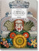 Listri. Cabinet of Curiosities by Giulia Carciotto