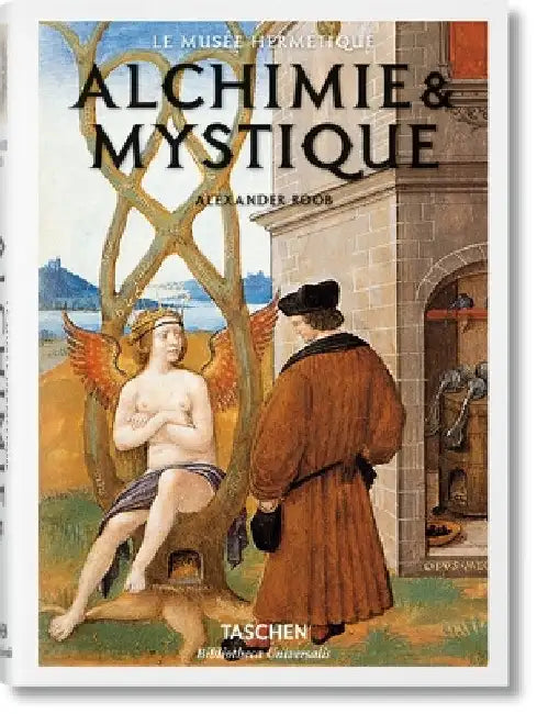Alchimie & Mystique by Alexander Roob