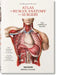 Bourgery. Atlas de Anatomía Humana Y Cirugía by Jean-Marie Le Minor