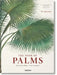 Martius: The Book of Palms by H. Walter Lack