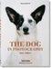 The Dog in Photography: 1839-Today by Raymond Merritt