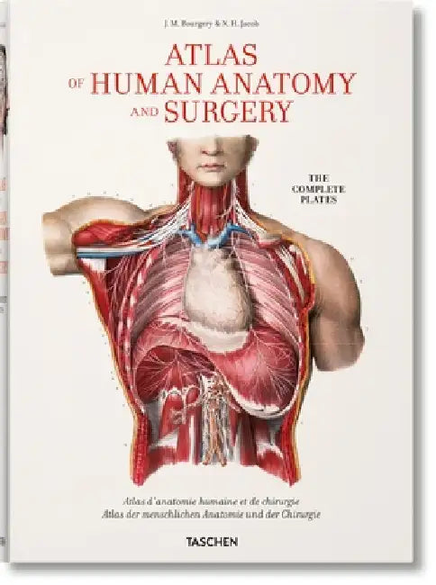 Bourgery: Atlas of Human Anatomy and Surgery by Jean-Marie Le Minor