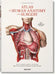 Bourgery: Atlas of Human Anatomy and Surgery by Jean-Marie Le Minor