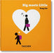 Yang Liu. Big Meets Little by Yang Liu