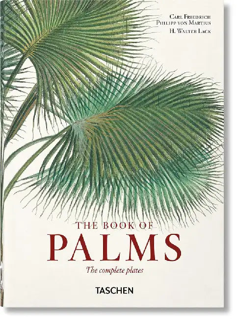 Von Martius. the Book of Palms. 40th Ed. by H. Walter Lack