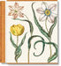 Besler. the Garden at Eichstätt by Klaus Walter Littger