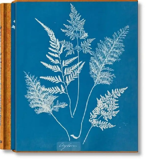 Anna Atkins. Cyanotypes by Peter Walther