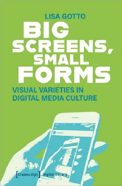 Big Screens, Small Forms: Visual Varieties in Digital Media Culture