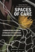 Spaces of Care - Confronting Colonial Afterlives in European Ethnographic Museums by Wayne Modest