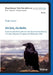 Die Zeit, die bleibt by Birgit Lippert, Winfried Marotzki, Johannes Fromme