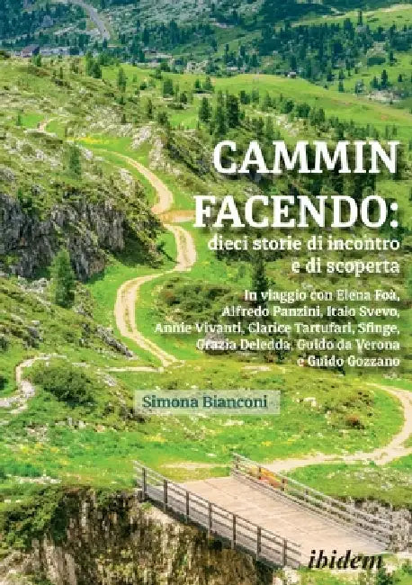 Cammin facendo: dieci storie di incontro e di scoperta by Simona Bianconi