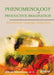 Phenomenology of Productive Imagination: Embodiment, Language, Subjectivity