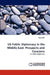 US Public Diplomacy in the Middle East: Prospects and Concerns by Injy Galal