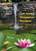 Lost Angel's Wassersport-Handbuch: Praktische Tipps für das feuchte erotische Vergnügen by Lost Angel