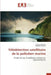 Télédétection Satellitaire de la Pollution Marine by Sans Auteur
