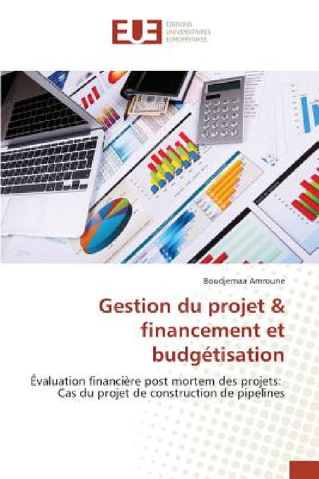 Gestion Du Projet Financement Et Budgétisation by Amroune-B